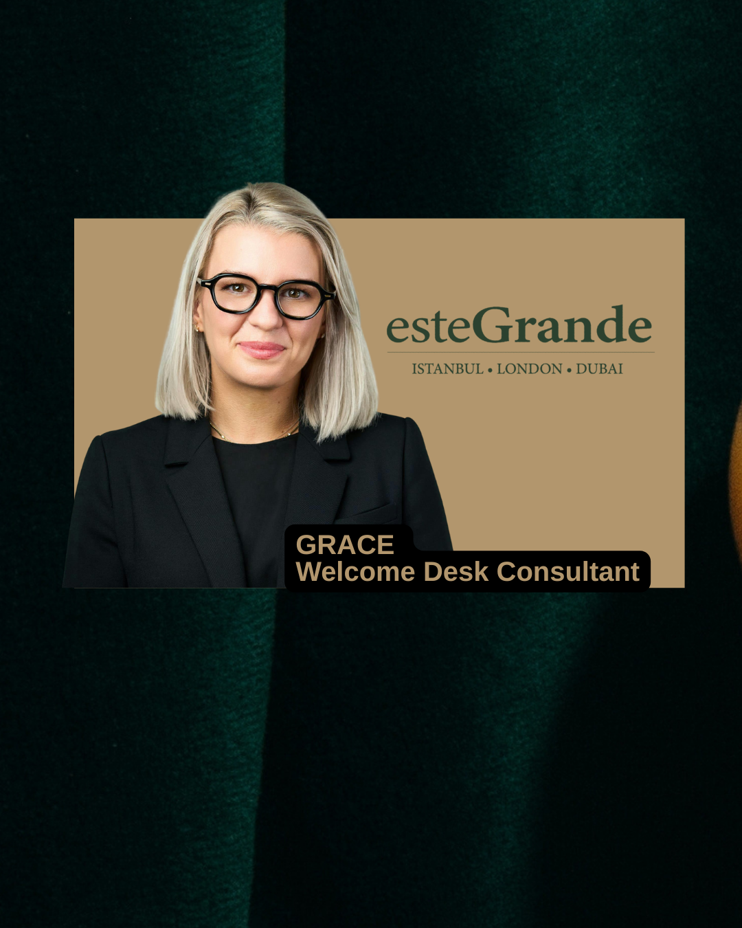 Consultant